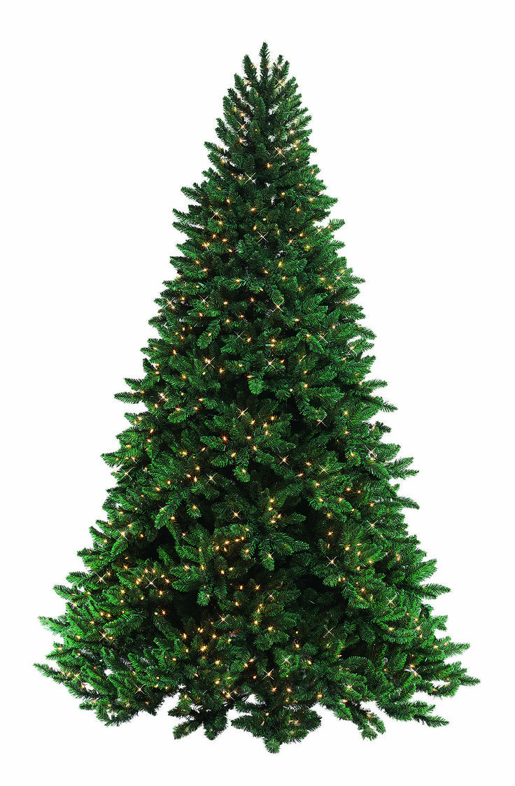Christmas Tress - Image 5