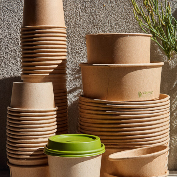 Eco-Friendly Takeaway Packaging