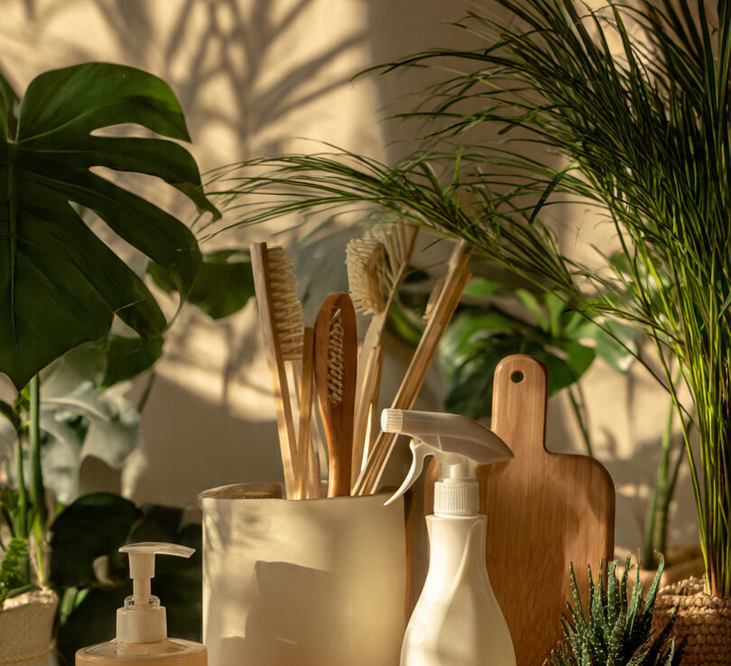 Eco Cleaning Solutions