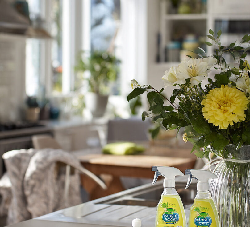 Eco Cleaning Services: The Sparkle Standard for Your Home