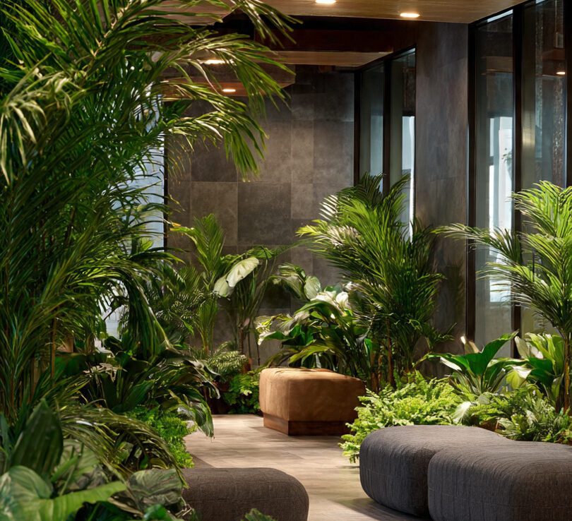 Luxury Sustainable Green Interiors in Accra | Vista Green