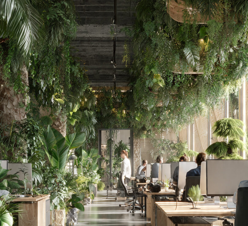 Eco-Conscious Design Specialists