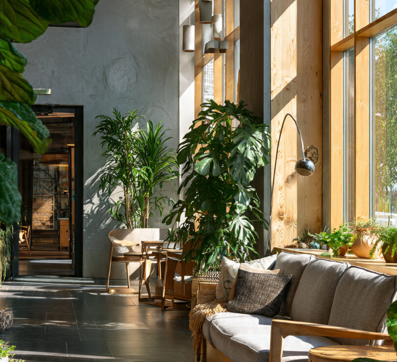 Modern Eco Interiors That Inspire Calm