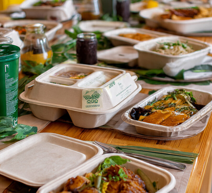 Biodegradable Food Packaging in Ghana