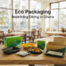 Vista Green: Eco Packaging Is Redefining Dining in Ghana