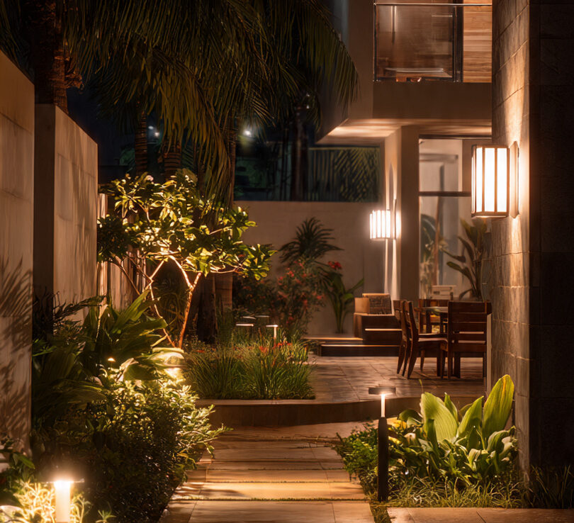 Best Solar-Powered Garden & Security Lights