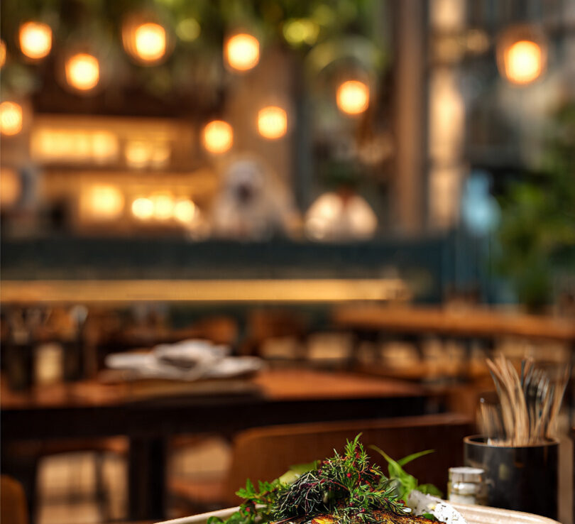 Biodegradable Packaging