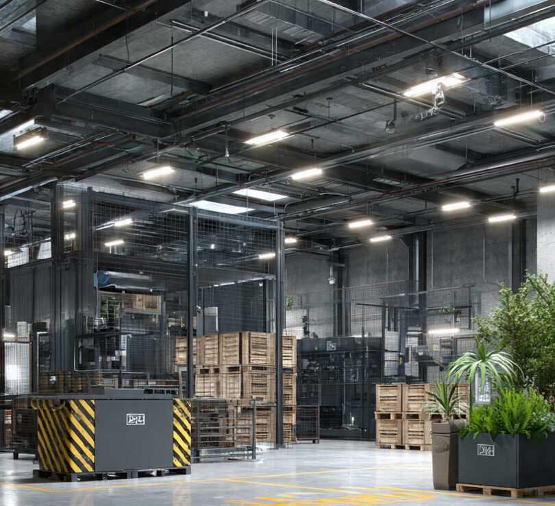 Advanced Animal Traps