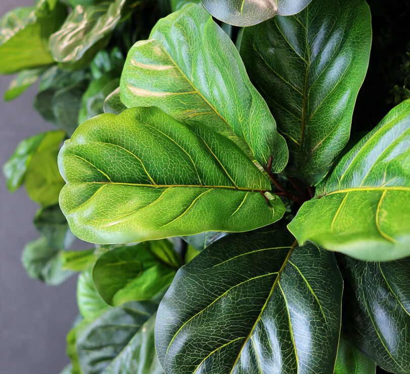 Stunning Artificial Plants for Fresh & Inviting Spaces