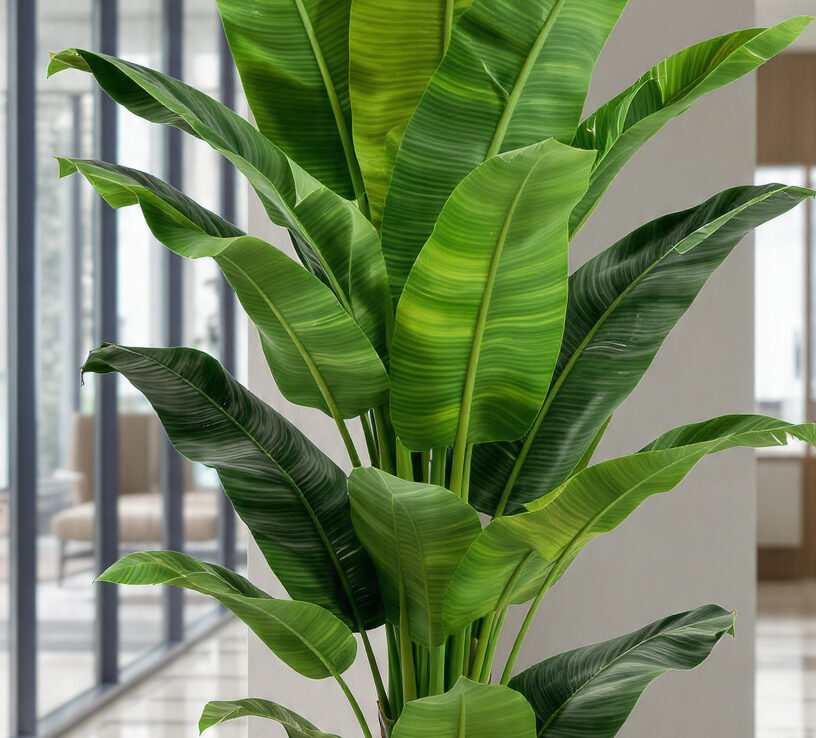 Low-Maintenance Faux Plants: Effortlessly Fresh Greenery