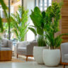 Artificial Plants Create Modern Eco Interiors