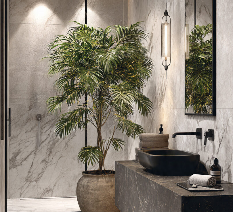 Premium Bathroom Supplies