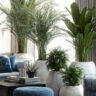 Luxury Artificial Plants