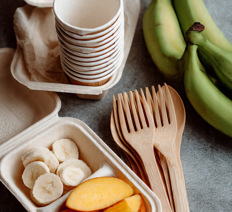 Eco-Friendly Food Packaging in Cape Coast, Elmina & Ghana