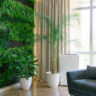 Indoor Plants for Calm