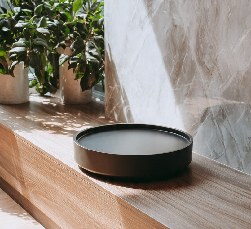 Eco-Conscious Rodent Traps