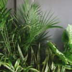 Luxury Artificial Plants for Modern Eco Interiors
