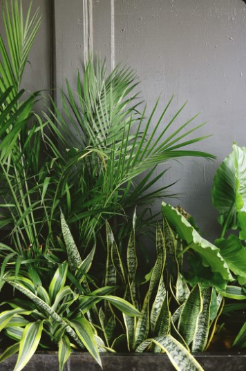 Luxury Artificial Plants for Modern Eco Interiors